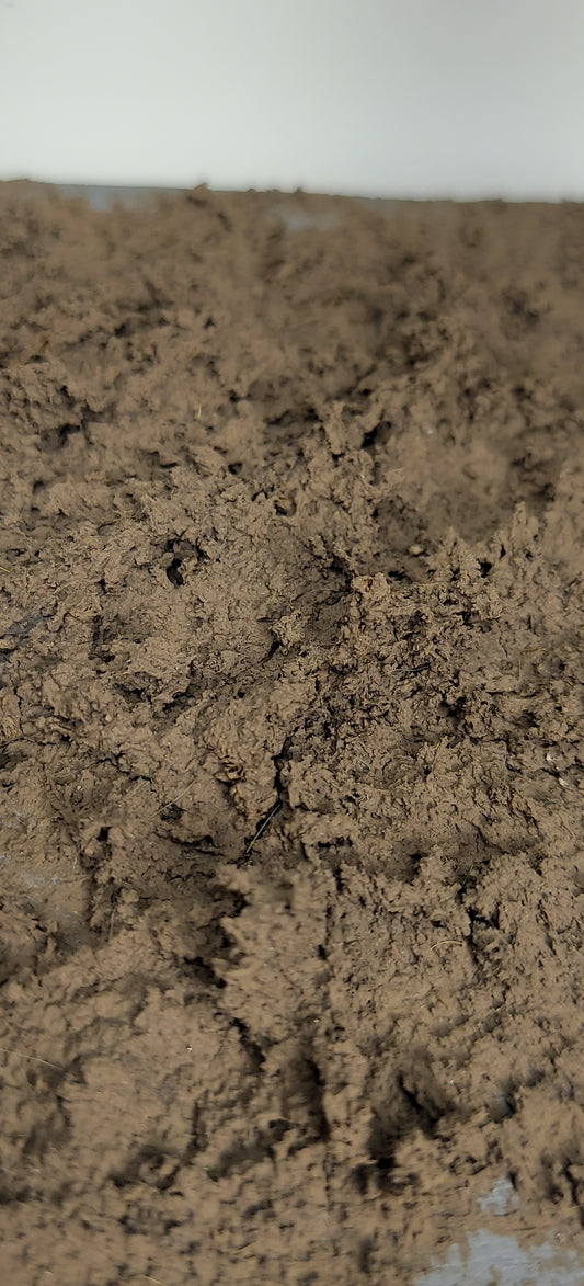 Ardennes Forest Dry Mud [Light Bodied]