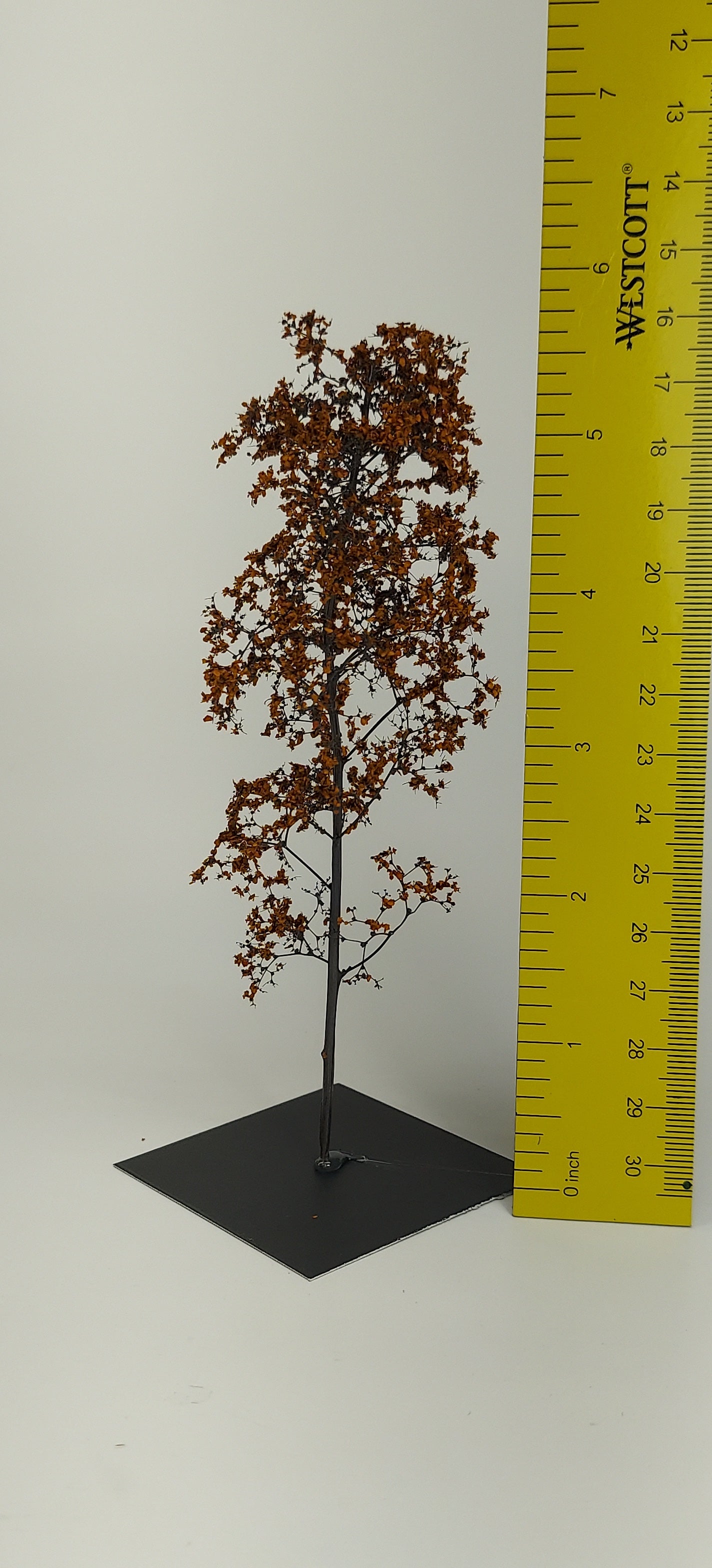 Sapling 6"-7" [Autumn Bronz]