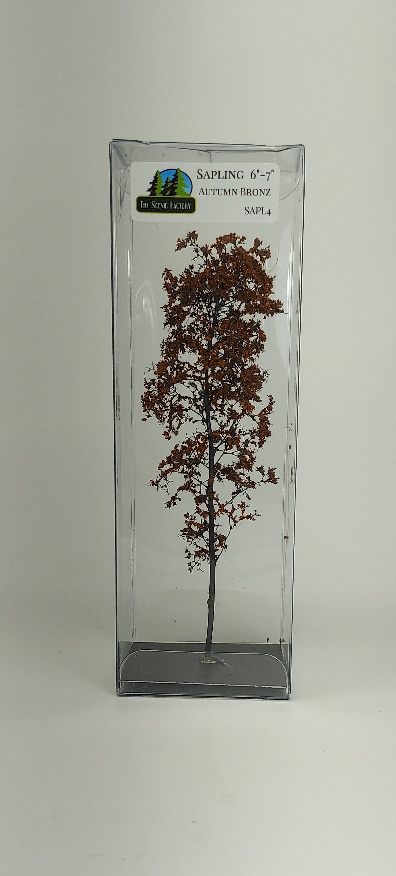 Sapling 6"-7" [Autumn Bronz]