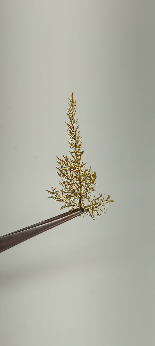 Pine Branches Brown[Small]